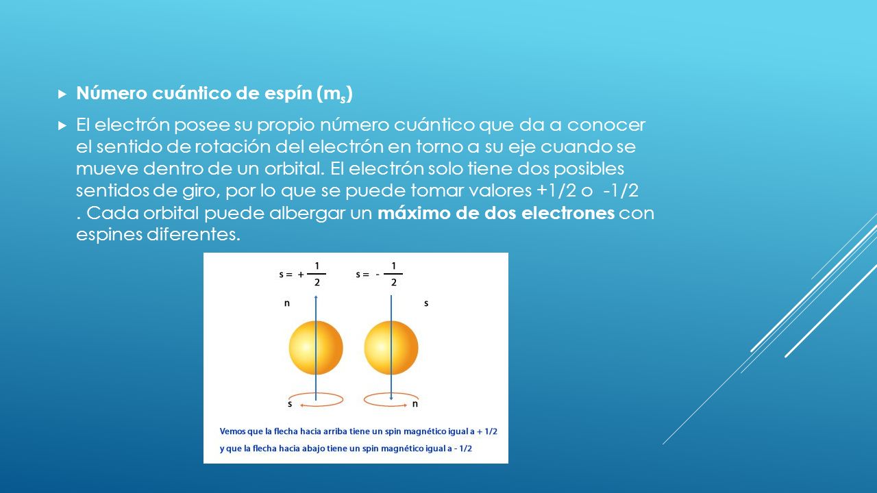  Número cuántico de espín (m s )  El electrón posee su propio número cuántico que da a conocer el sentido de rotación del electrón en torno a su eje cuando se mueve dentro de un orbital.