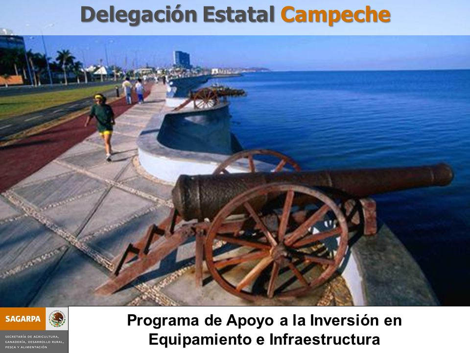 Programa de Apoyo a la Inversión en Equipamiento e Infraestructura Delegación Estatal Campeche Programa de Apoyo a la Inversión en Equipamiento e Infraestructura