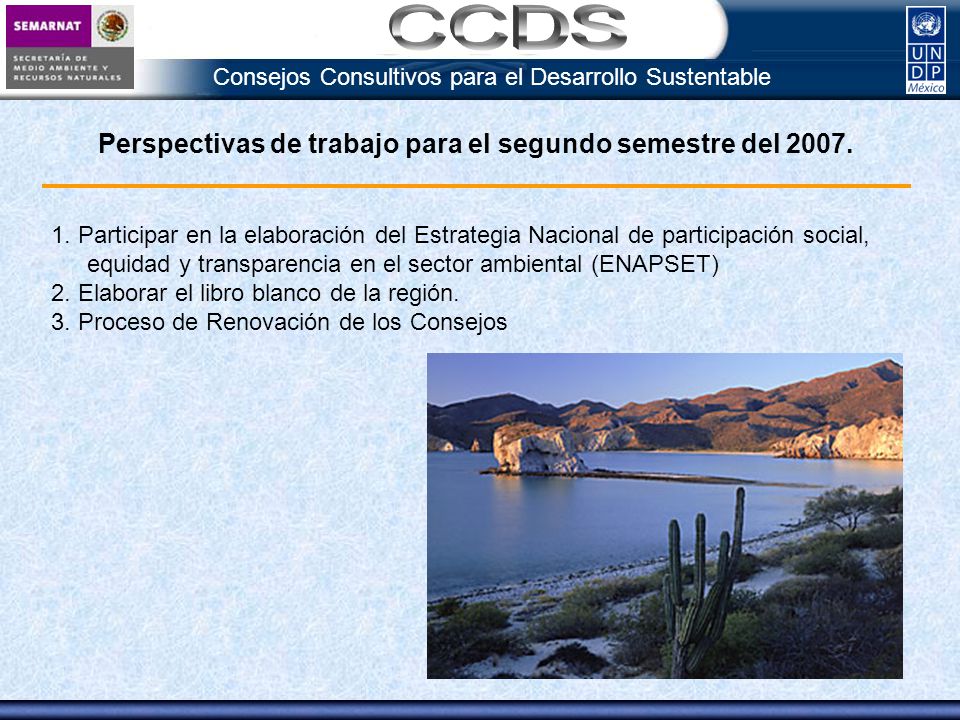 Consejos Consultivos para el Desarrollo Sustentable Perspectivas de trabajo para el segundo semestre del 2007.