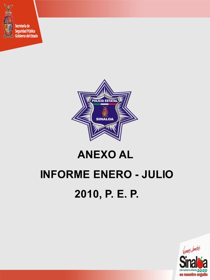 ANEXO AL INFORME ENERO - JULIO 2010, P. E. P.