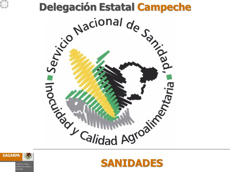 Programa de Prevención y Manejo de Riesgos Subcomponente SANIDADES SANIDADES Delegación Estatal Campeche