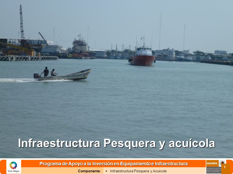 Programa de Apoyo a la Inversión en Equipamiento e Infraestructura Componente: Infraestructura Pesquera y Acuicola 1 Infraestructura Pesquera y acuícola