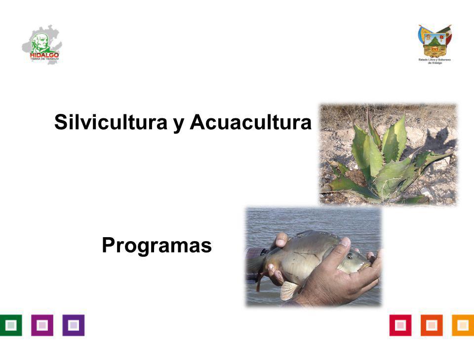 Programas Silvicultura y Acuacultura