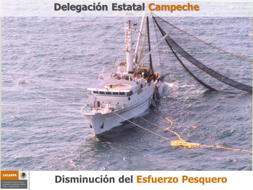 Programa de Sustentabilidad de los Recursos Naturales ComponenteDisminución del esfuerzo pesquero Disminución del Esfuerzo Pesquero Delegación Estatal Campeche