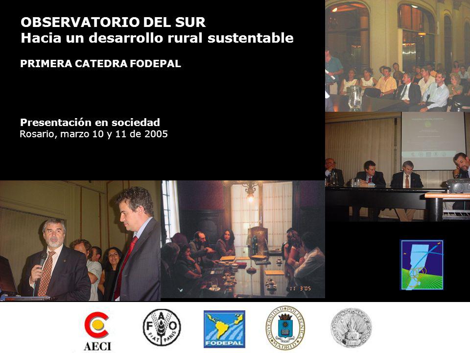 OBSERVATORIO DEL SUR Hacia un desarrollo rural sustentable PRIMERA CATEDRA FODEPAL Presentación en sociedad Rosario, marzo 10 y 11 de 2005