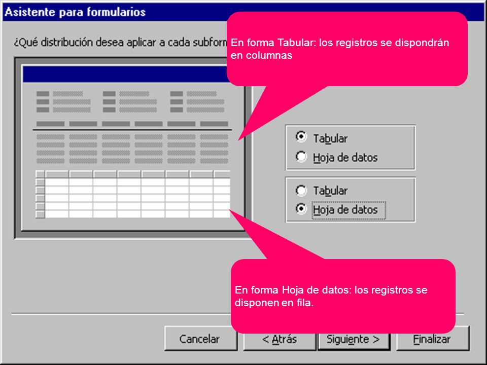 En forma Tabular: los registros se dispondrán en columnas En forma Hoja de datos: los registros se disponen en fila.