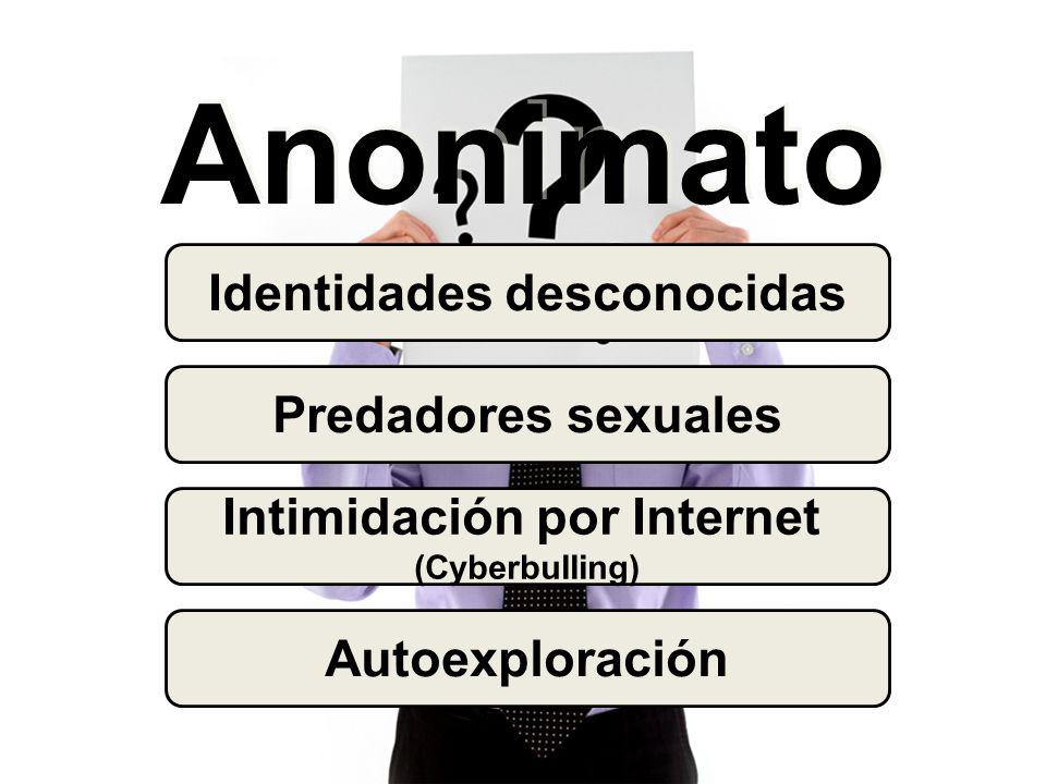 Anonimato Identidades desconocidas Intimidación por Internet (Cyberbulling) Autoexploración Predadores sexuales
