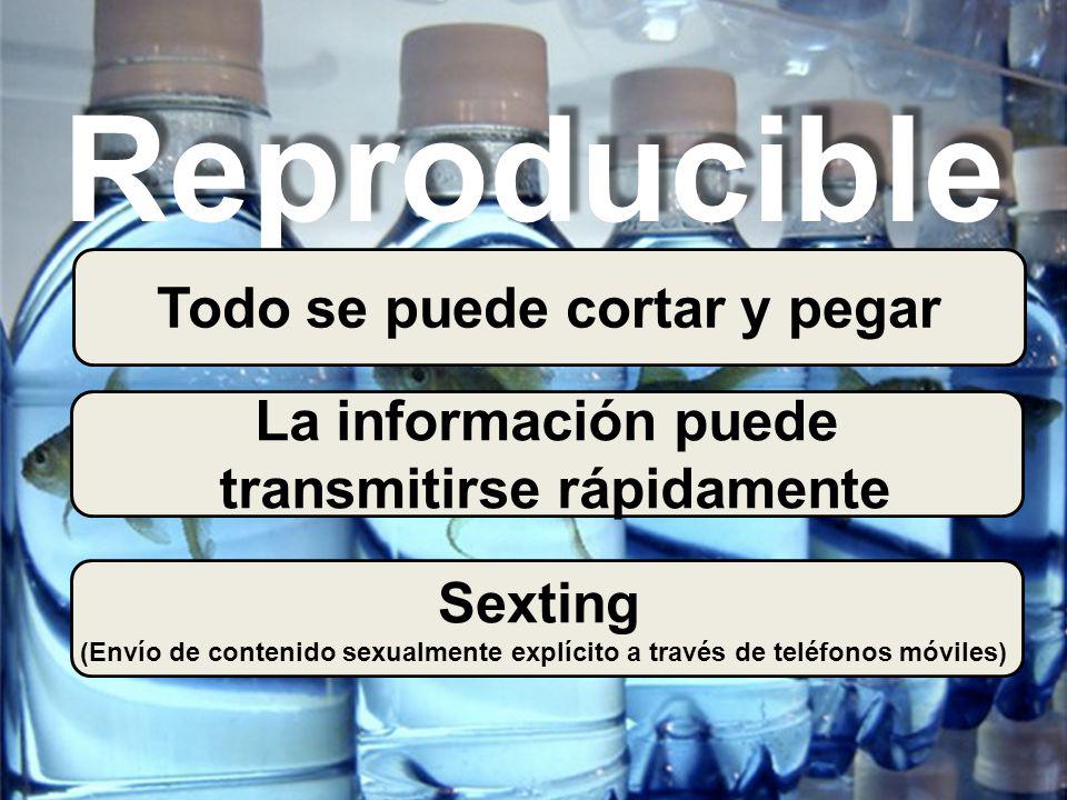 Reproducible Todo se puede cortar y pegar La información puede transmitirse rápidamente Sexting (Envío de contenido sexualmente explícito a través de teléfonos móviles)