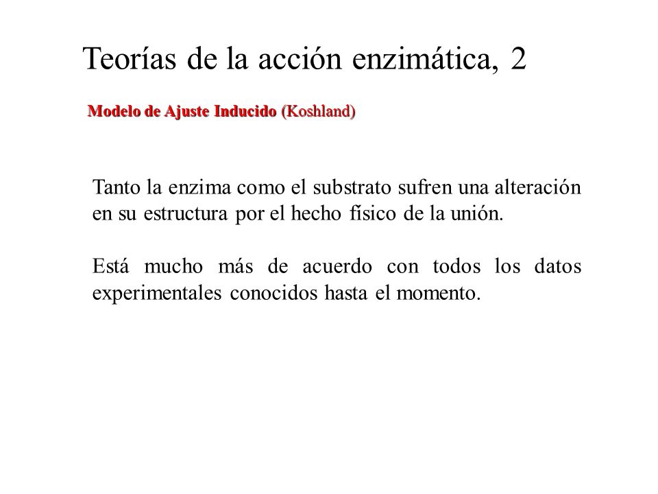 LAS ENZIMAS. Las enzimas son proteínas Catalizan reacciones químicas  necesarias para la sobrevivencia celular Sin las enzimas los procesos  biológicos. - ppt descargar