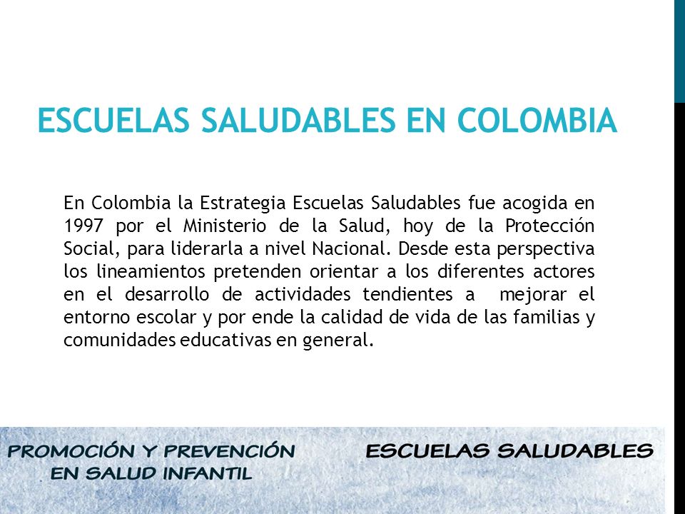ESCUELAS SALUDABLES EN COLOMBIA En Colombia la Estrategia Escuelas Saludables fue acogida en 1997 por el Ministerio de la Salud, hoy de la Protección Social, para liderarla a nivel Nacional.