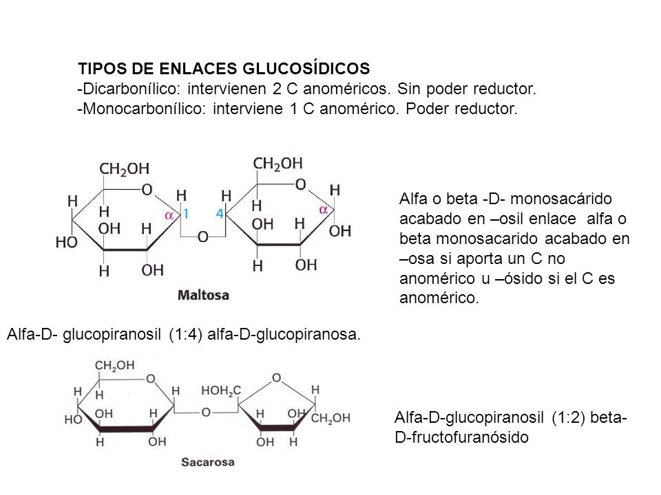 Tema 2 Los Glucidos Y Los Lipidos I Glucidos Concepto Formados Por C H O Polialcoholes Y Un Grupo Carbonilo Aldehido O Cetona Clasificacion Monosacaridos Ppt Descargar