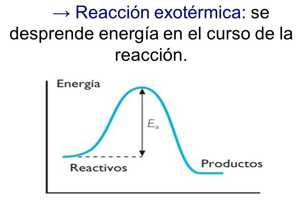 → Reacción exotérmica: se desprende energía en el curso de la reacción.