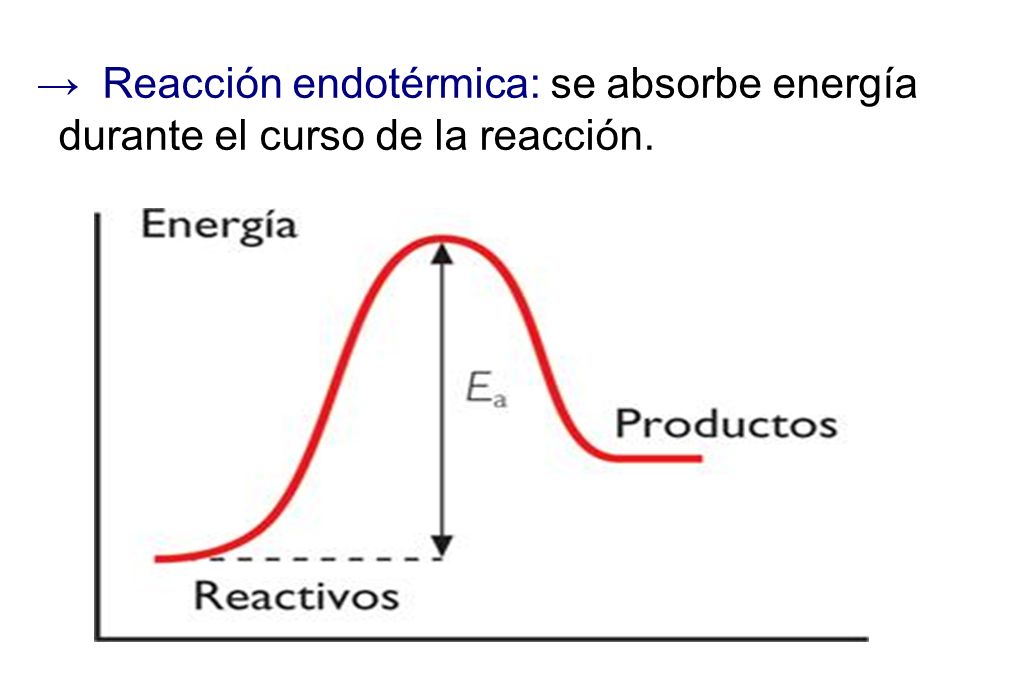 → Reacción endotérmica: se absorbe energía durante el curso de la reacción.