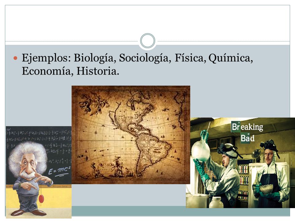Ejemplos: Biología, Sociología, Física, Química, Economía, Historia.