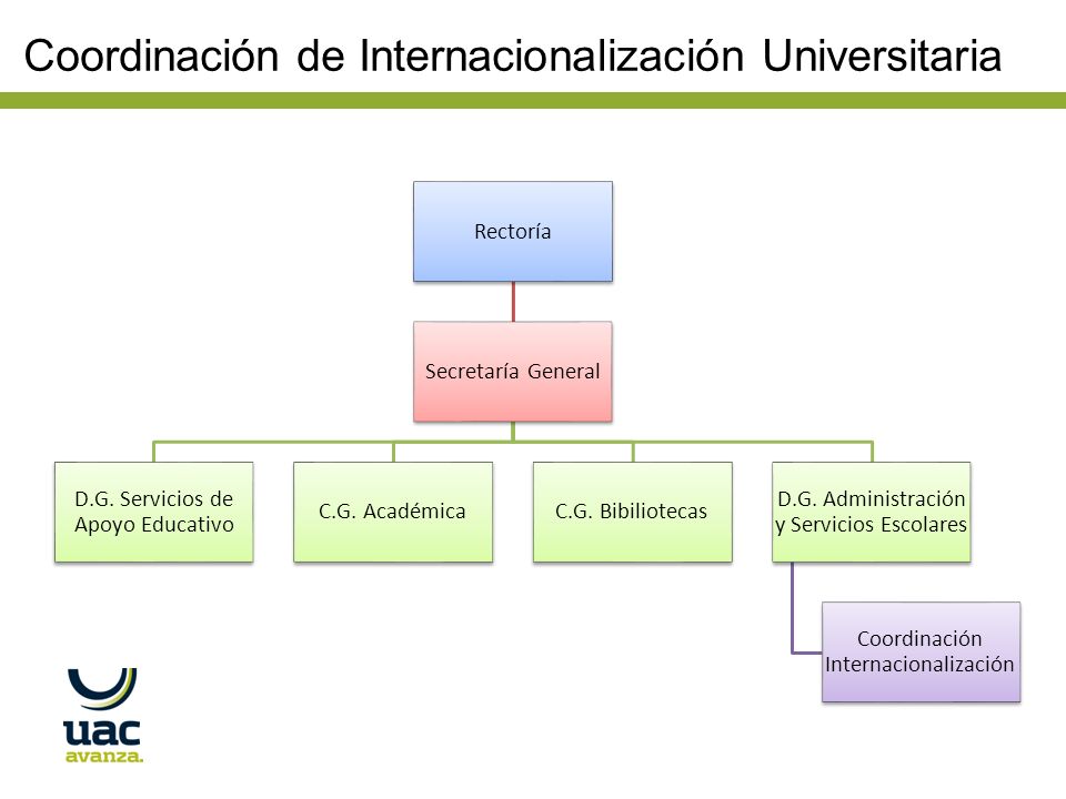Coordinación de Internacionalización Universitaria Rectoría Secretaría General D.G.