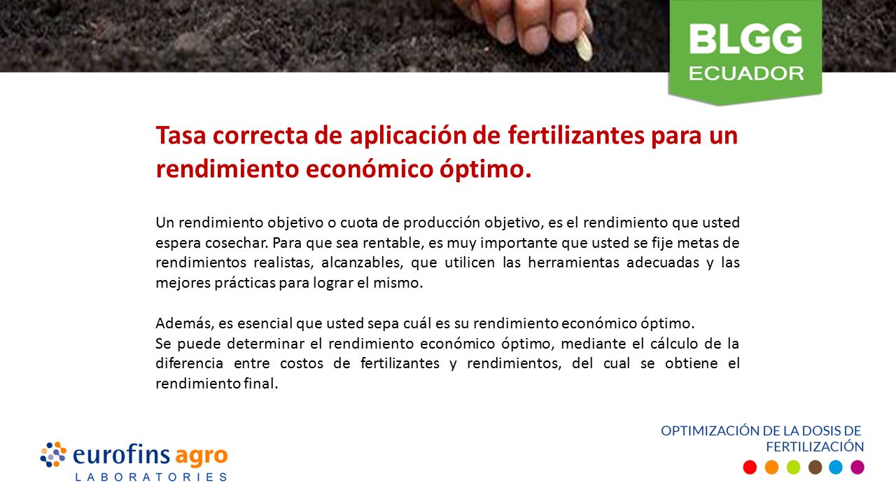 Tasa correcta de aplicación de fertilizantes para un rendimiento económico óptimo.