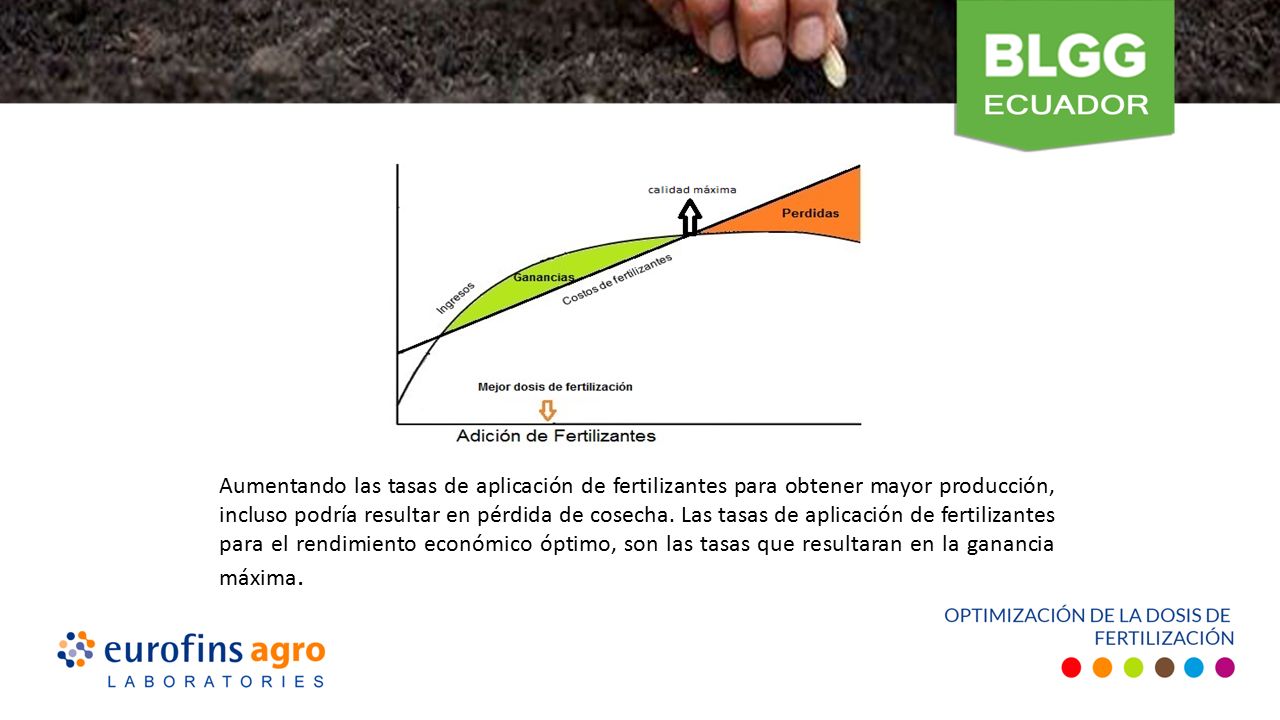 Aumentando las tasas de aplicación de fertilizantes para obtener mayor producción, incluso podría resultar en pérdida de cosecha.