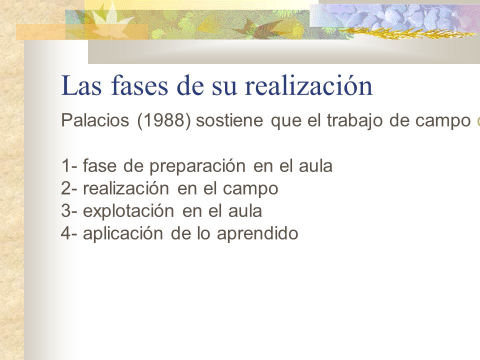 Las fases de su realización Palacios (1988) sostiene que el trabajo de campo consta de cuatro fases: 1- fase de preparación en el aula 2- realización en el campo 3- explotación en el aula 4- aplicación de lo aprendido