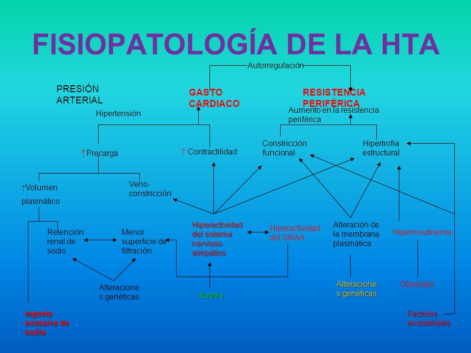 HIPERTENSION ARTERIAL Dr. ROGER LEON J. HIPERTENSION ARTERIAL  DEFINICION   EPIDEMIOLOGIA  ETIOPATOGENIA  CLASIFICACION  CUADRO CLINICO  ENFOQUE.  - ppt descargar