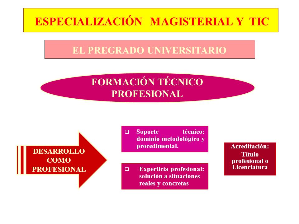  Soporte técnico: dominio metodológico y procedimental.