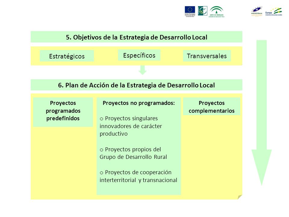 5. Objetivos de la Estrategia de Desarrollo Local Estratégicos Específicos Transversales 6.