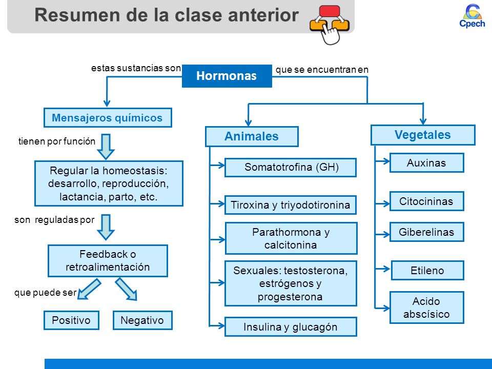 Que significa sustancias