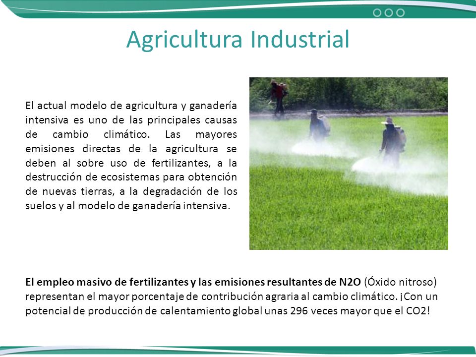 Agrícola Industrial. Agricultura Industrial La agricultura industrial está  asociada a la extensión de monocultivos y vinculada a deforestación de  ecosistemas. - ppt descargar