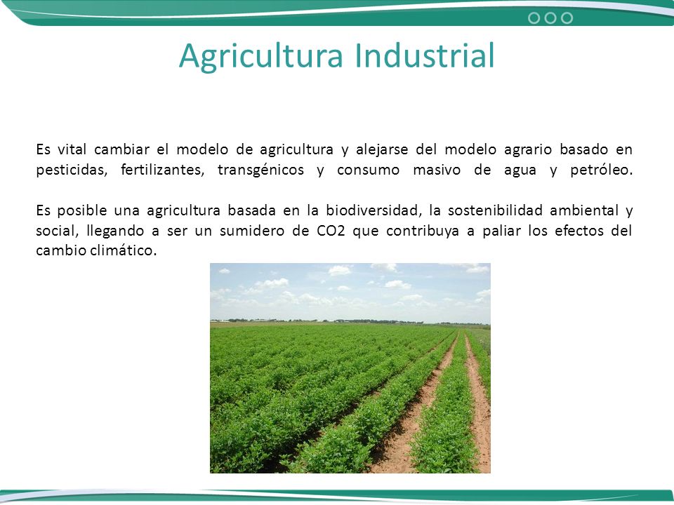 Agrícola Industrial. Agricultura Industrial La agricultura industrial está  asociada a la extensión de monocultivos y vinculada a deforestación de  ecosistemas. - ppt descargar