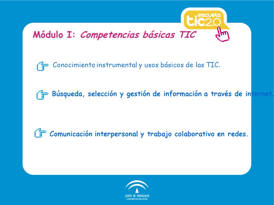 Conocimiento instrumental y usos básicos de las TIC.