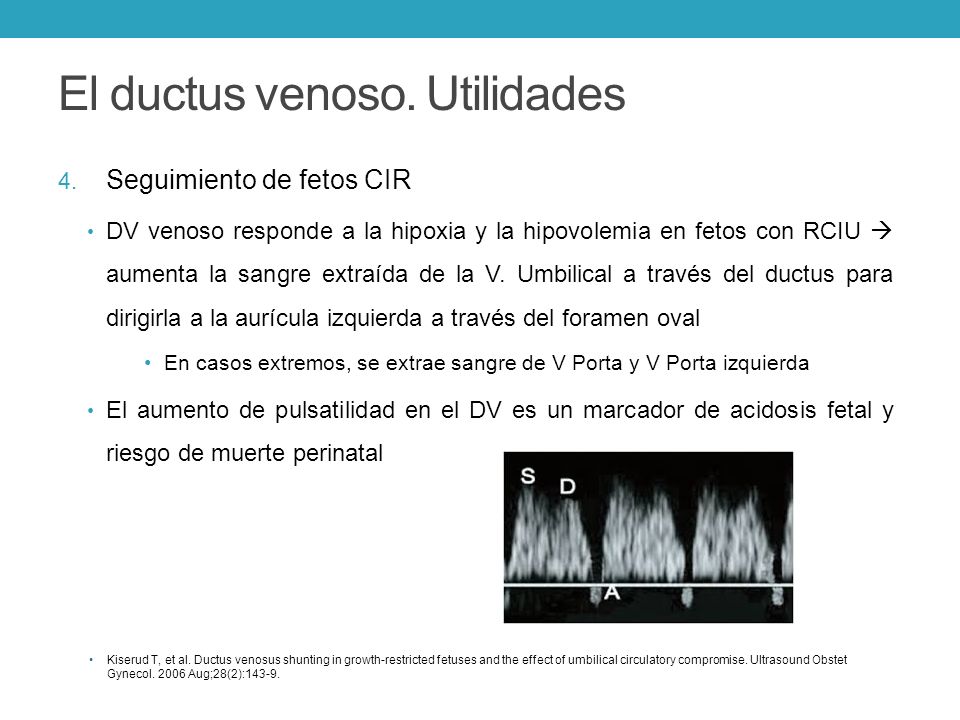 Agenesia De Ductus Venoso Shunt Portosistemicos Laura Perez Martin Mir Iii Hgugm Marzo Ppt Descargar