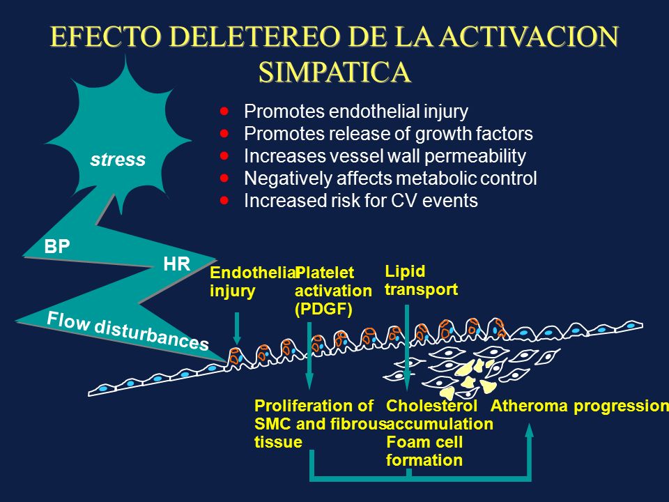 ACTUALIZACION EN BETABLOQUEADORES Dr. Fèlix Nunura A. Dpto.de Medicina ...