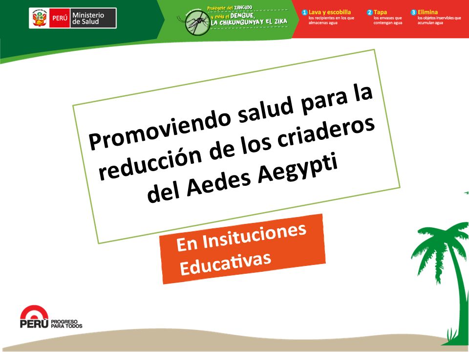 Promoviendo salud para la reducción de los criaderos del Aedes Aegypti