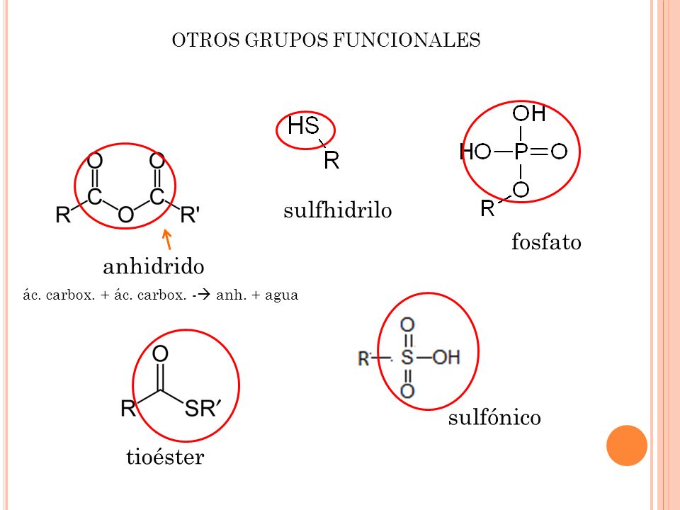 modelo de grupo sulfhidrilo