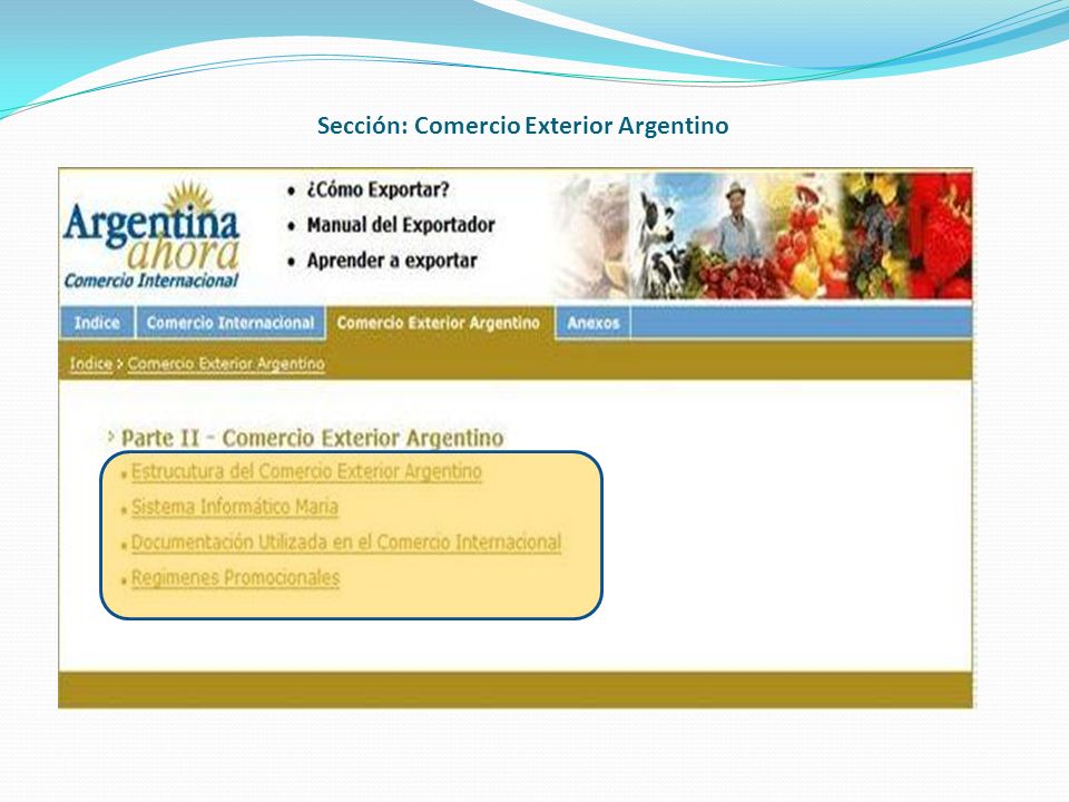 Sección: Comercio Exterior Argentino