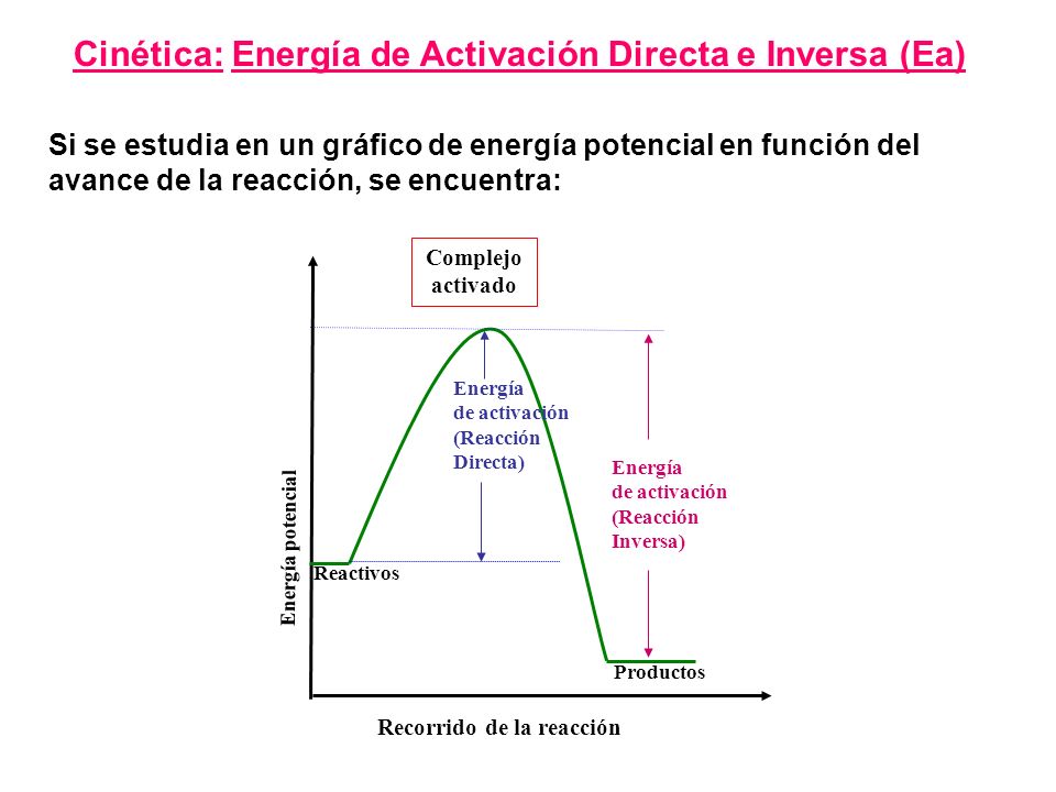 Si se estudia en un gráfico de energía potencial en función del avance de la reacción, se encuentra: Cinética: Energía de Activación Directa e Inversa (Ea) Energía de activación (Reacción Directa) Energía potencial Recorrido de la reacción Complejo activado Reactivos Productos Energía de activación (Reacción Inversa)