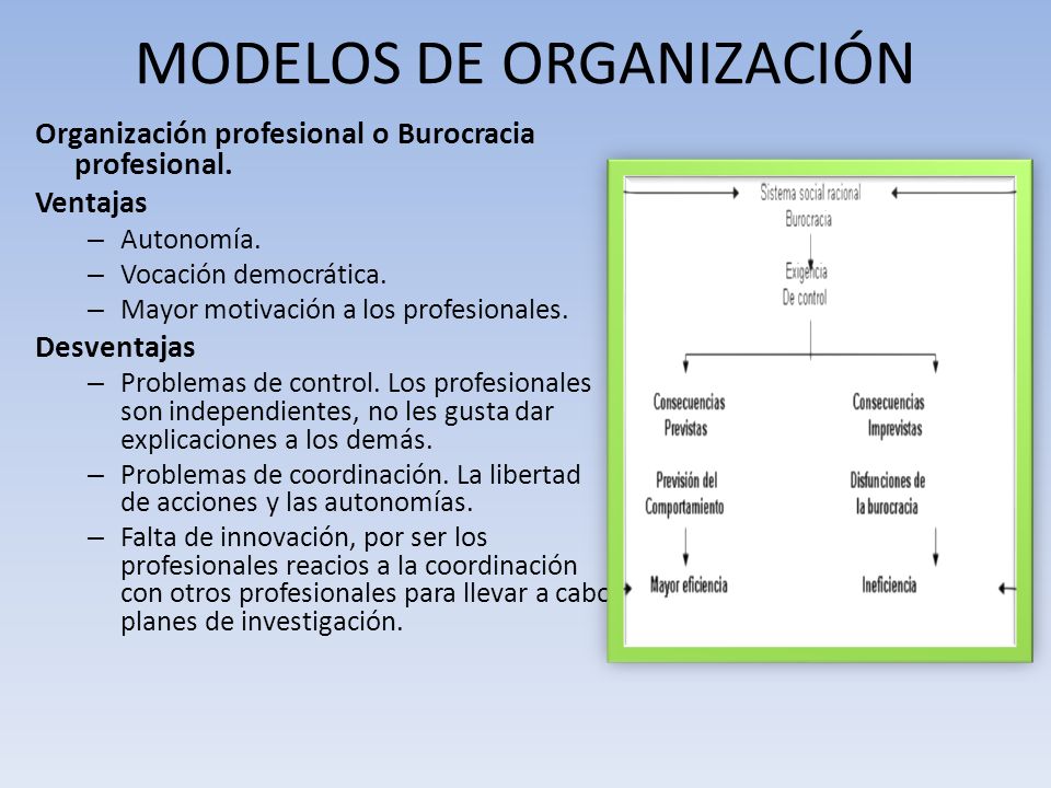 Organización profesional o Burocracia profesional.