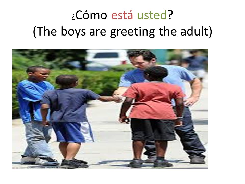 ¿ Cómo está usted (The boys are greeting the adult)