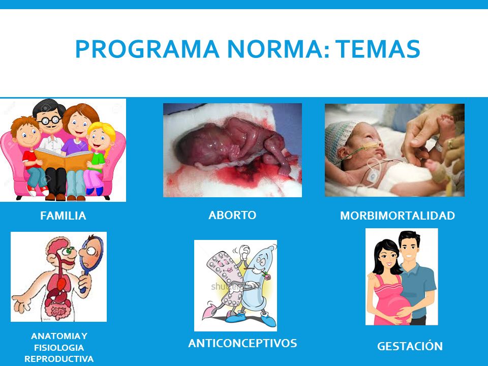 PROGRAMA NORMA: TEMAS FAMILIA ABORTO MORBIMORTALIDAD ANATOMIA Y FISIOLOGIA REPRODUCTIVA ANTICONCEPTIVOS GESTACIÓN