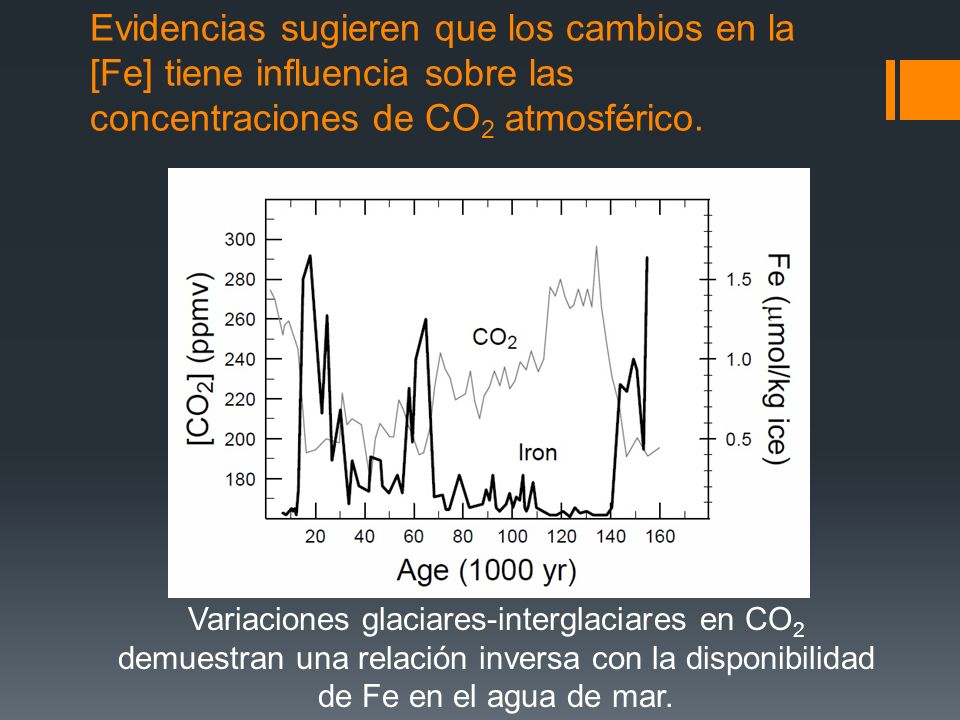 Evidencias sugieren que los cambios en la [Fe] tiene influencia sobre las concentraciones de CO 2 atmosférico.