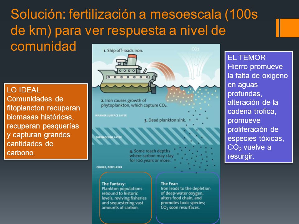 Solución: fertilización a mesoescala (100s de km) para ver respuesta a nivel de comunidad LO IDEAL Comunidades de fitoplancton recuperan biomasas históricas, recuperan pesquerías y capturan grandes cantidades de carbono.