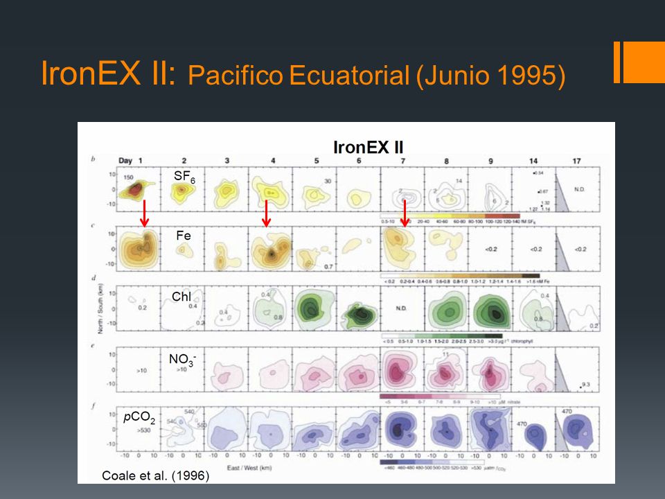 IronEX II: Pacifico Ecuatorial (Junio 1995)