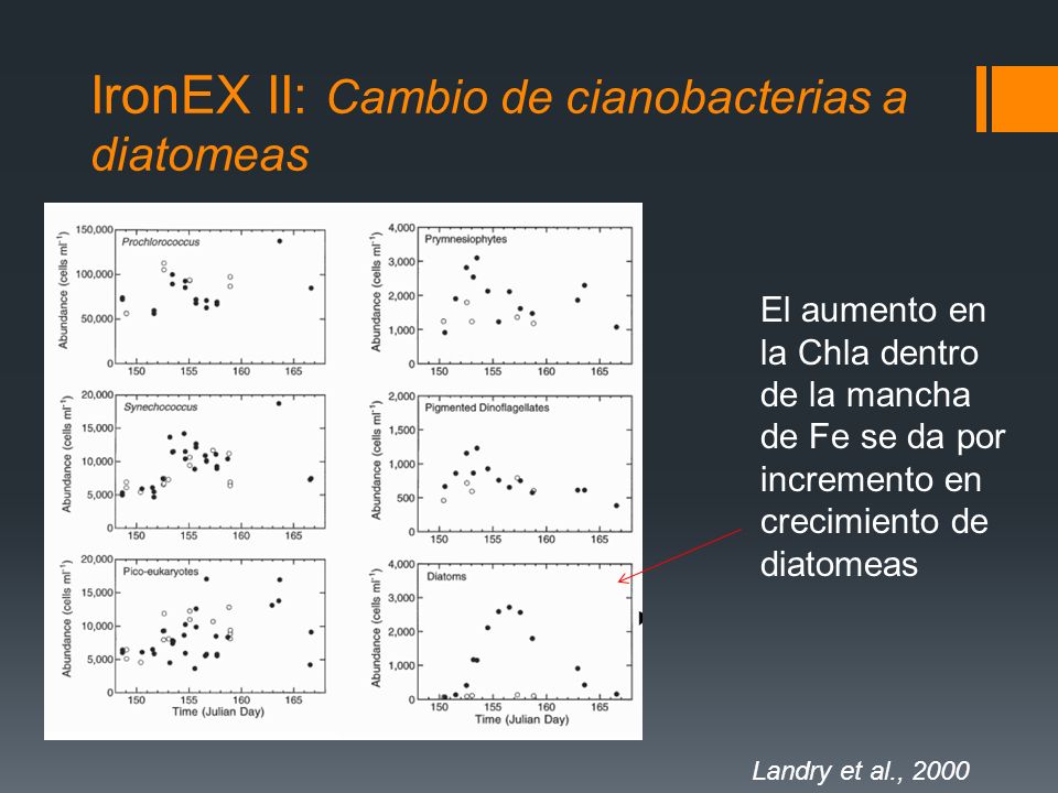 IronEX II: Cambio de cianobacterias a diatomeas El aumento en la Chla dentro de la mancha de Fe se da por incremento en crecimiento de diatomeas Landry et al., 2000