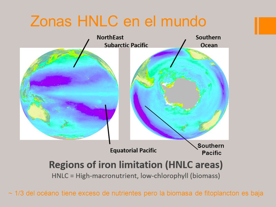 Zonas HNLC en el mundo ~ 1/3 del océano tiene exceso de nutrientes pero la biomasa de fitoplancton es baja Southern Pacific