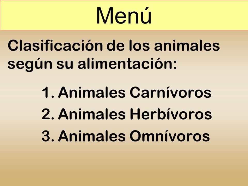 herbívoros carnívoros y omnívoros