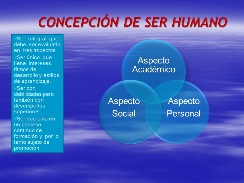 Aspecto Académico Aspecto Personal Aspecto Social Ser Integral que debe ser evaluado en tres aspectos.