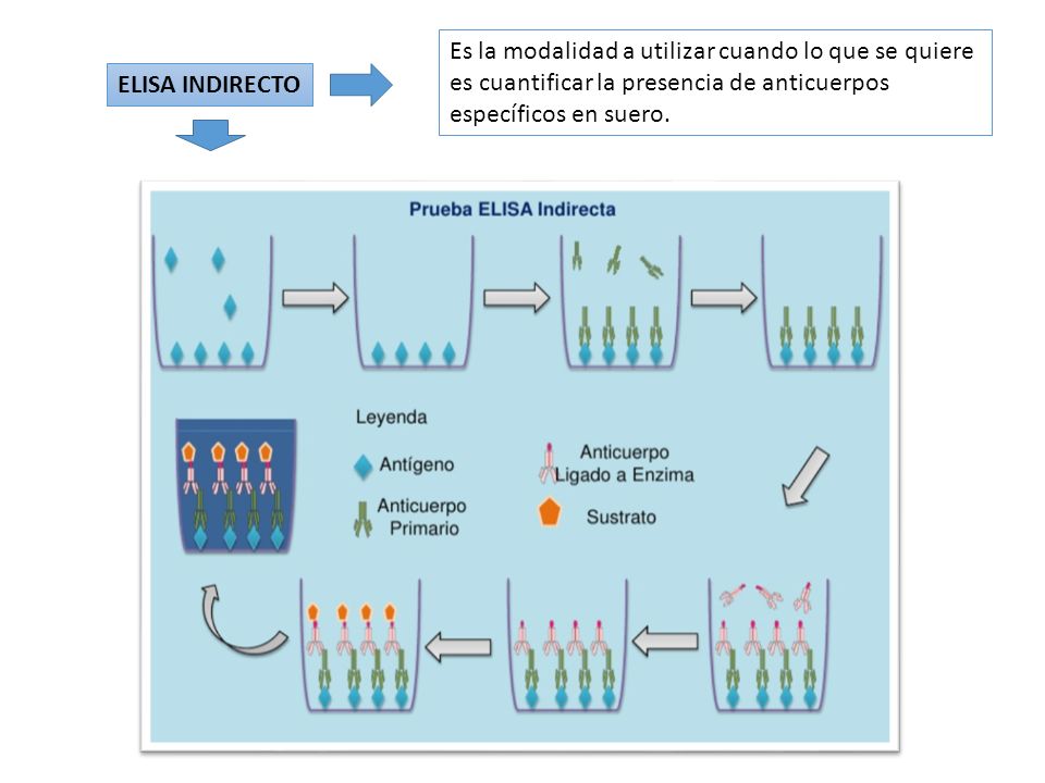 diagrama de elisa directo