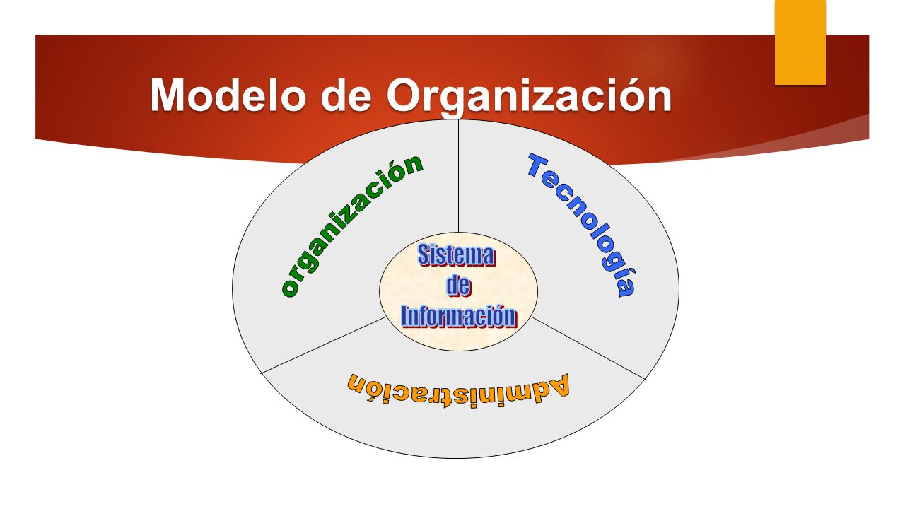 Modelo de Organización