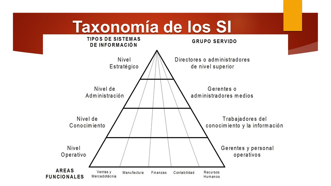 Taxonomía de los SI