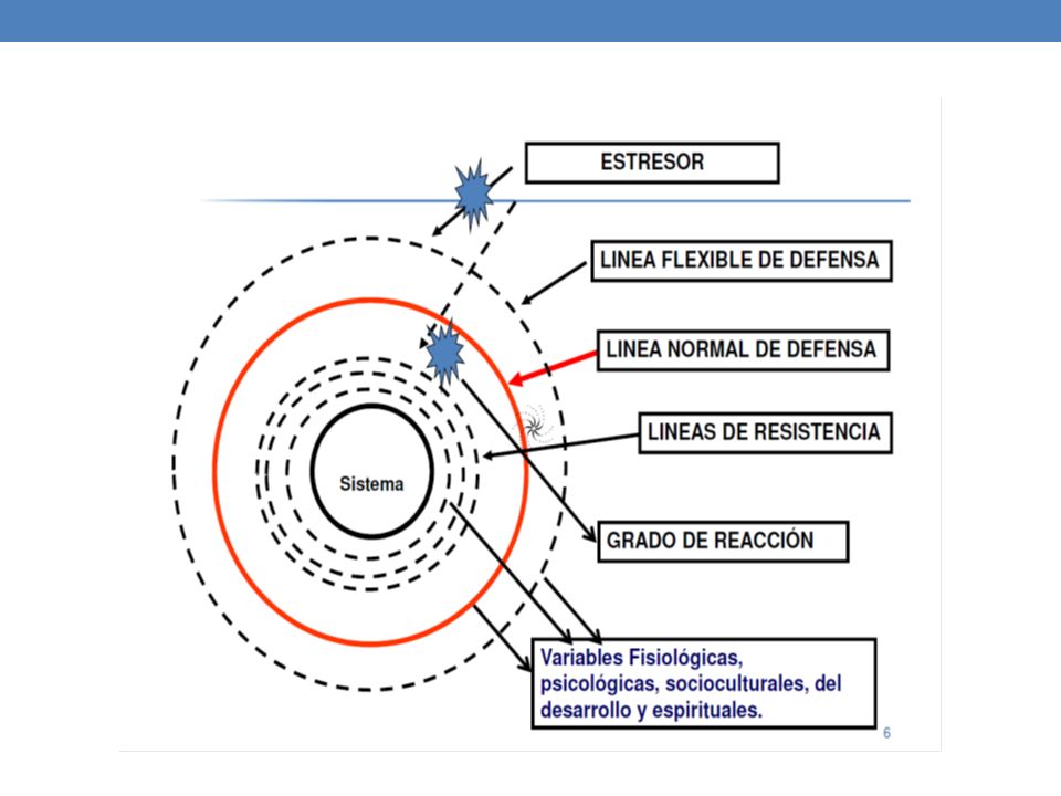 COMUNIDAD PARTICIPANTE. Modelo de Elizabeth Anderson. - ppt descargar