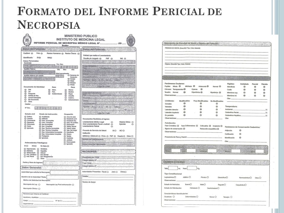 Dra Judith Maguina Romero Definicion Ciencia Encargada Del